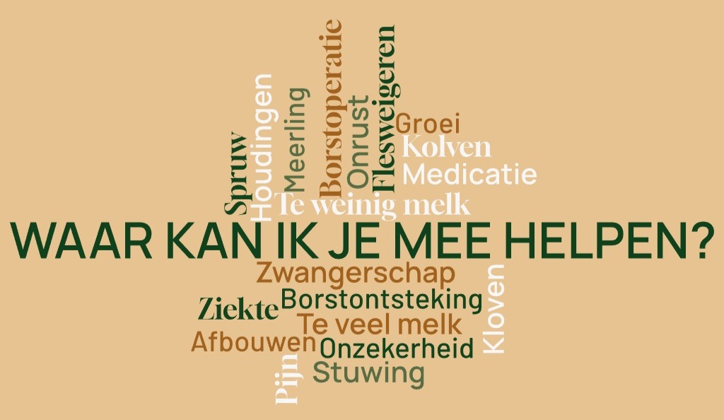 lactatiekundige problemen